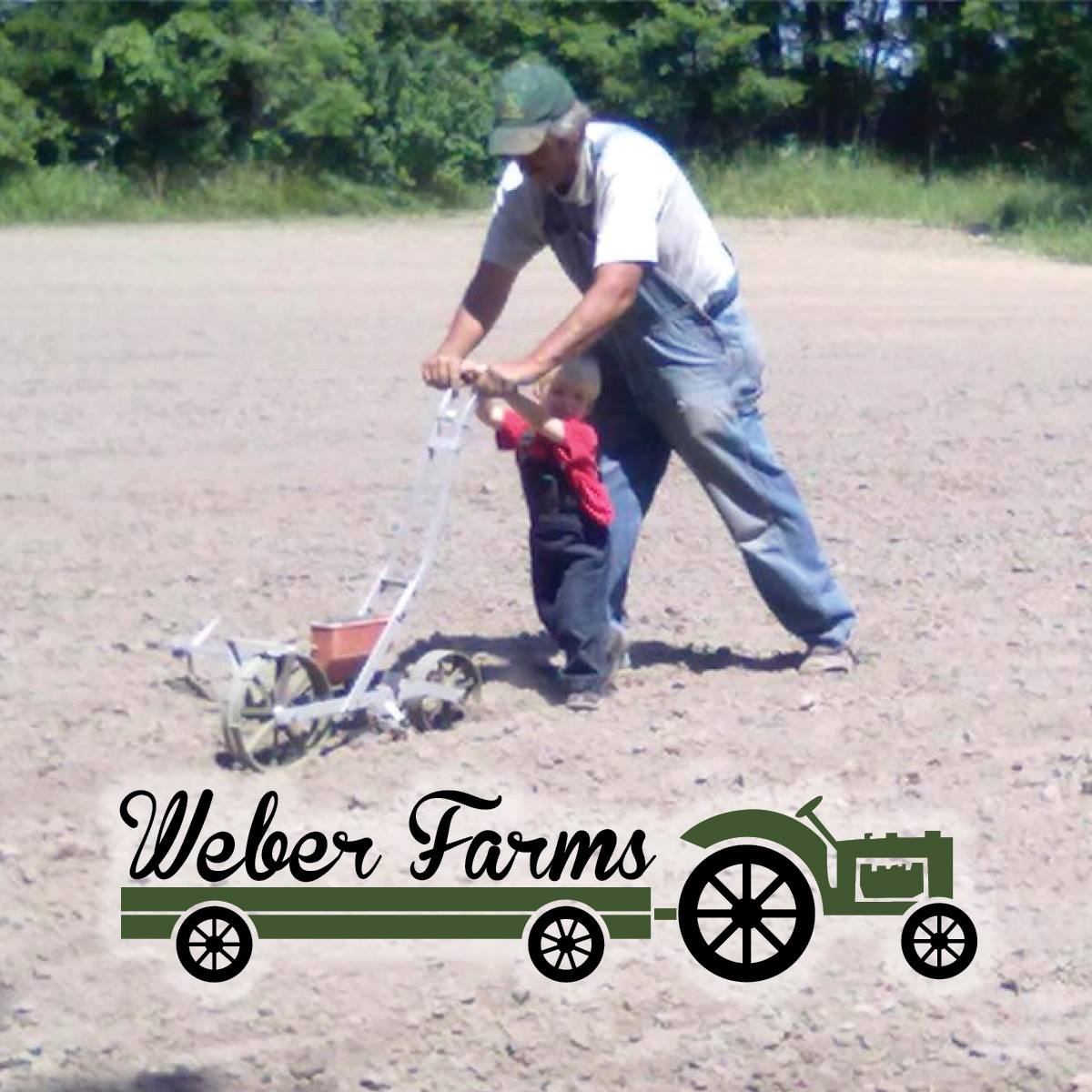 Weber Farms